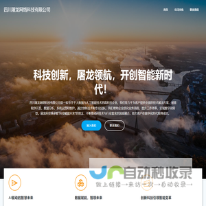 四川屠龙网络科技有限公司