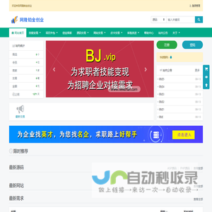 bj.vip - 网隆铂金创业