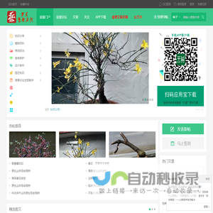 盆景艺术在线_盆景爱好者交易交流造型养护制作设计 -  cnpenjing.com