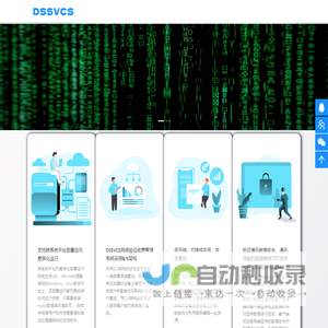 DSSVCS网络验证-可跨系统平台部署且无需安装任何运行依赖