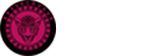 粉豹云-等保咨询测评备案-第三方聚合支付收款平台-香港美国国际跨境网络专线-高防CDN服务器租用