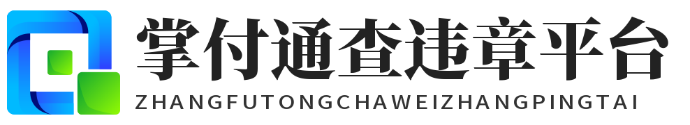 掌付通查违章平台-车辆违章查询-闯红灯超速_违停扣分_交通罚款代缴