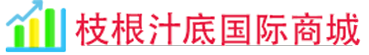 枝根汁底国际商城