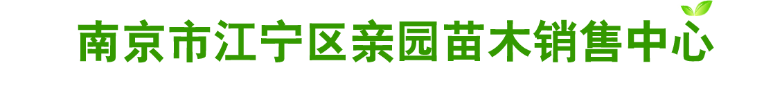 南京市江宁区亲园苗木销售中心 SLL