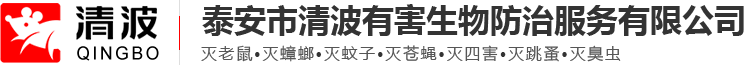 泰安灭老鼠_泰安灭蟑螂_泰安灭蚊蝇_泰安灭四害-泰安市清波有害生物防治服务有限公司