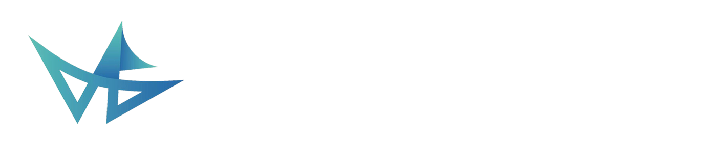 Winner Solution