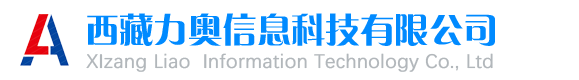 西藏力奥信息科技有限公司  - 首页